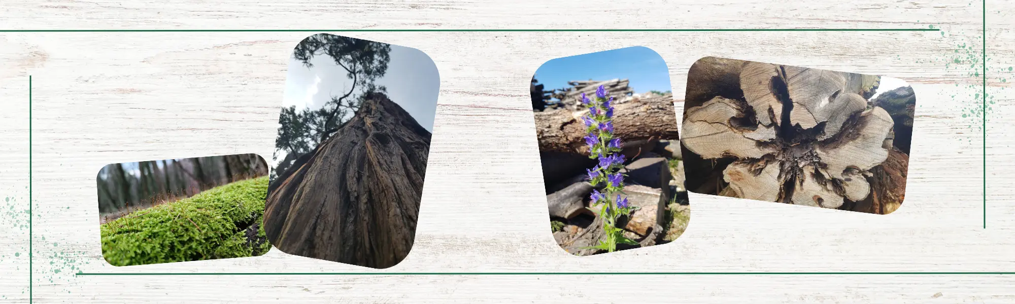 New Cover photo DML logistika