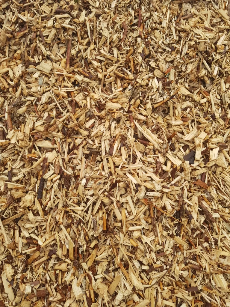 Crnogorična sječka