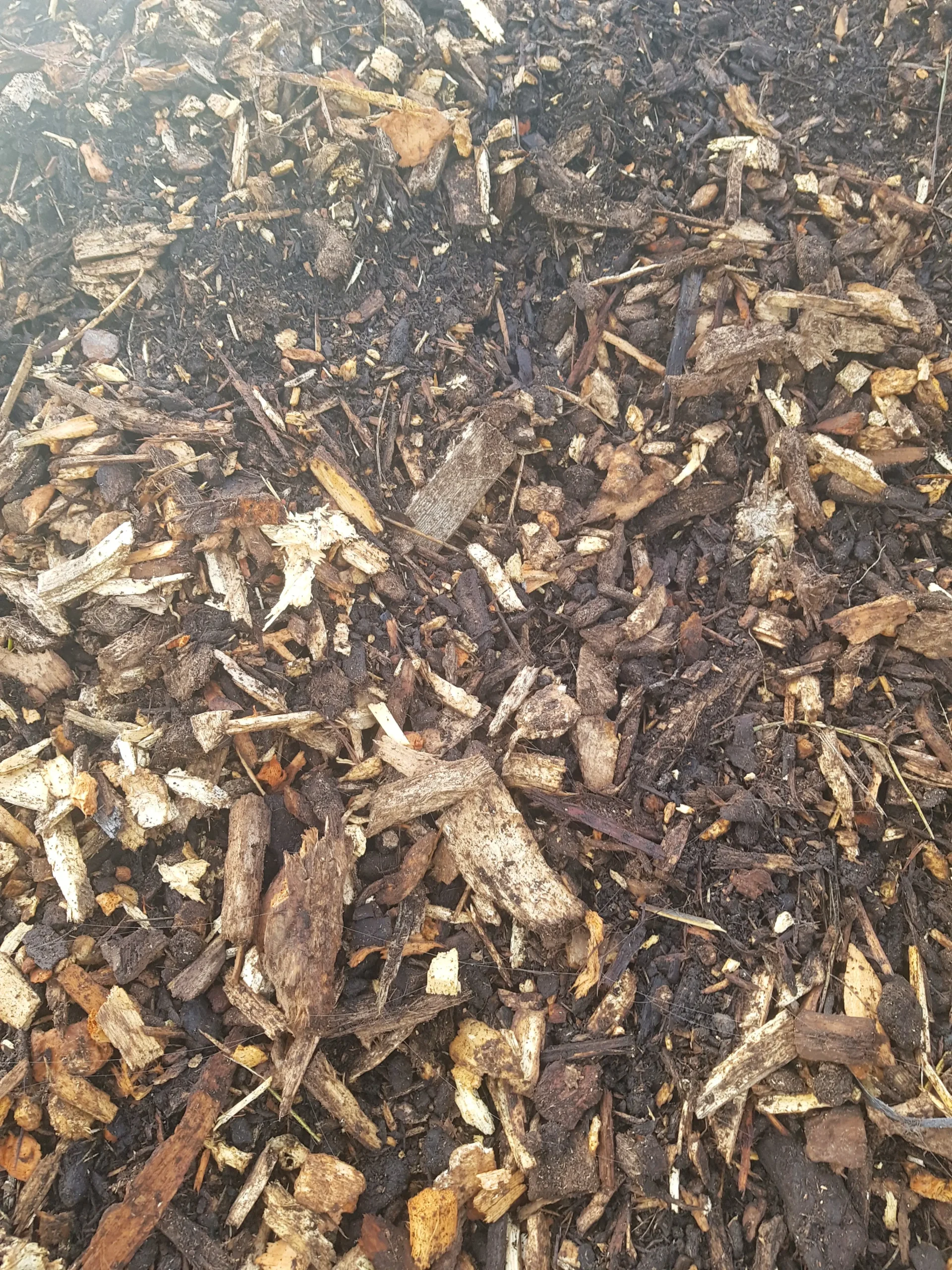 Kompost od drvne sječke